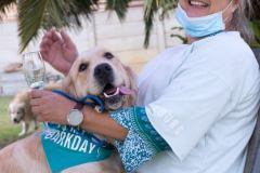 Barkday-Doggos-91