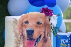 Barkday-Setup-30