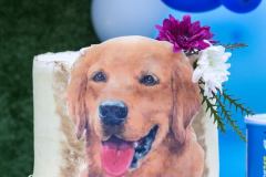 Barkday-Setup-31