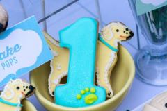 Barkday-Setup-38