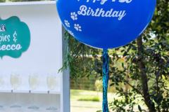 Barkday-Setup-41