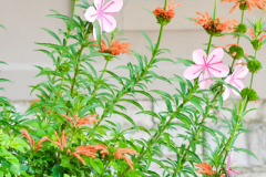 Juliets-Mary-Poppins-Decor-3-216