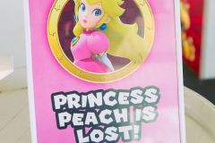 MarioParty-306