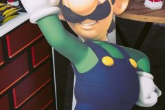 MarioParty-315