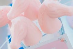 Isabelles-Pony-Delight-102
