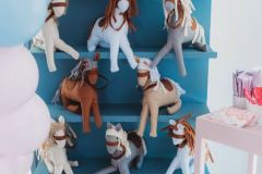 Isabelles-Pony-Delight-130