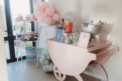 Isabelles-Pony-Delight-17