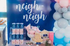 Isabelles-Pony-Delight-99